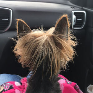 Meet your Posher, Deborah